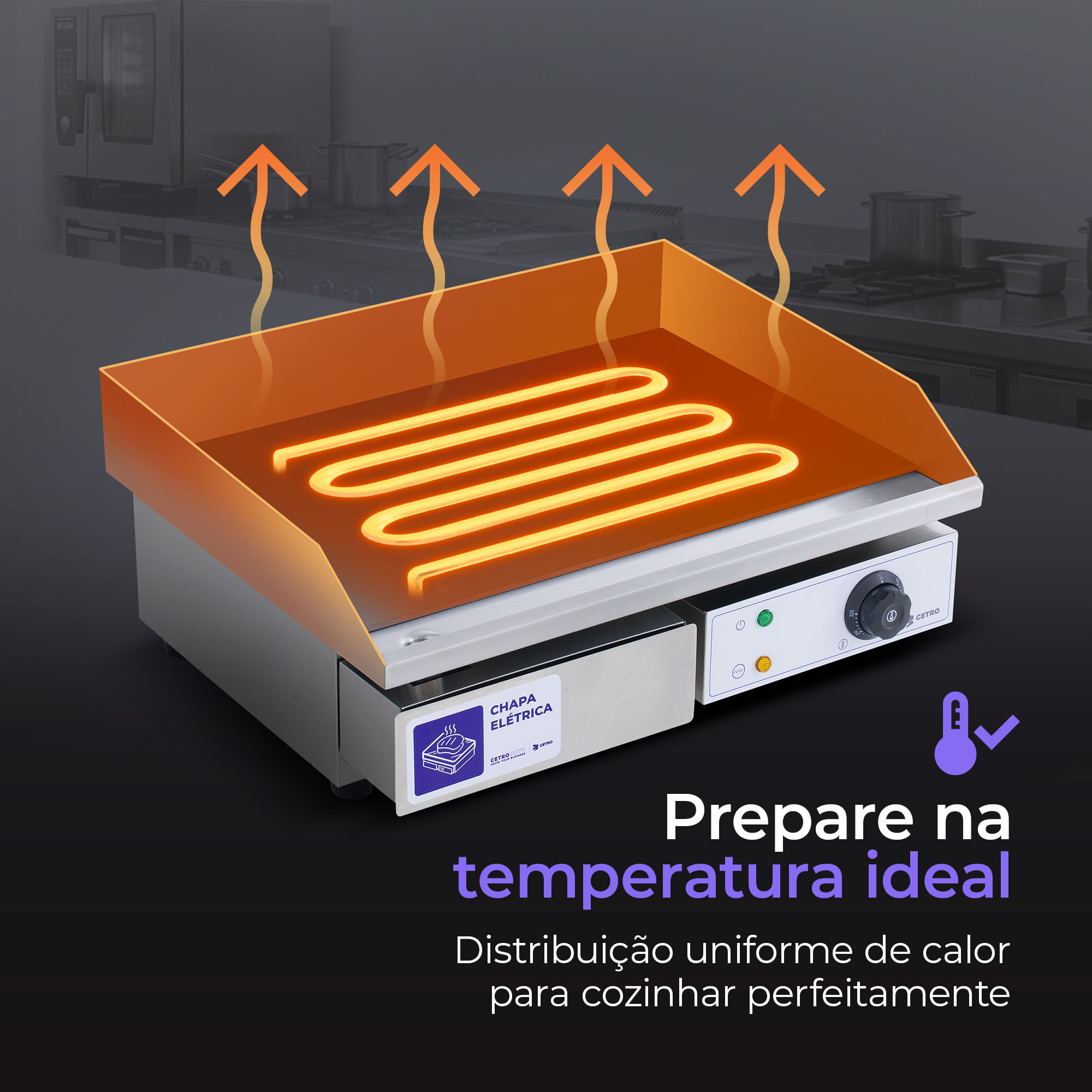Chapa Elétrica em Inox 55x35 cm CFGM EG-5535 - 220V - Cetro